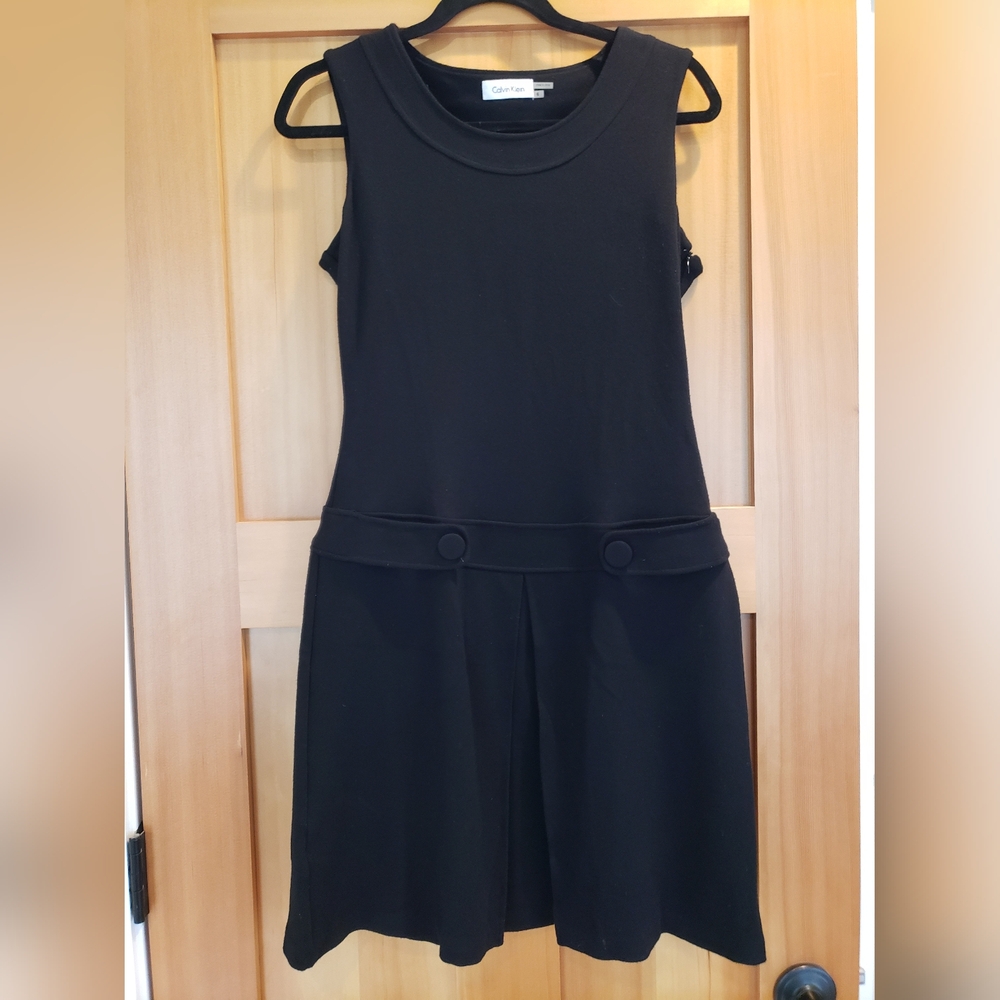 Calvin Klein Black Retro Drop Waist Pleated Dress Size:6